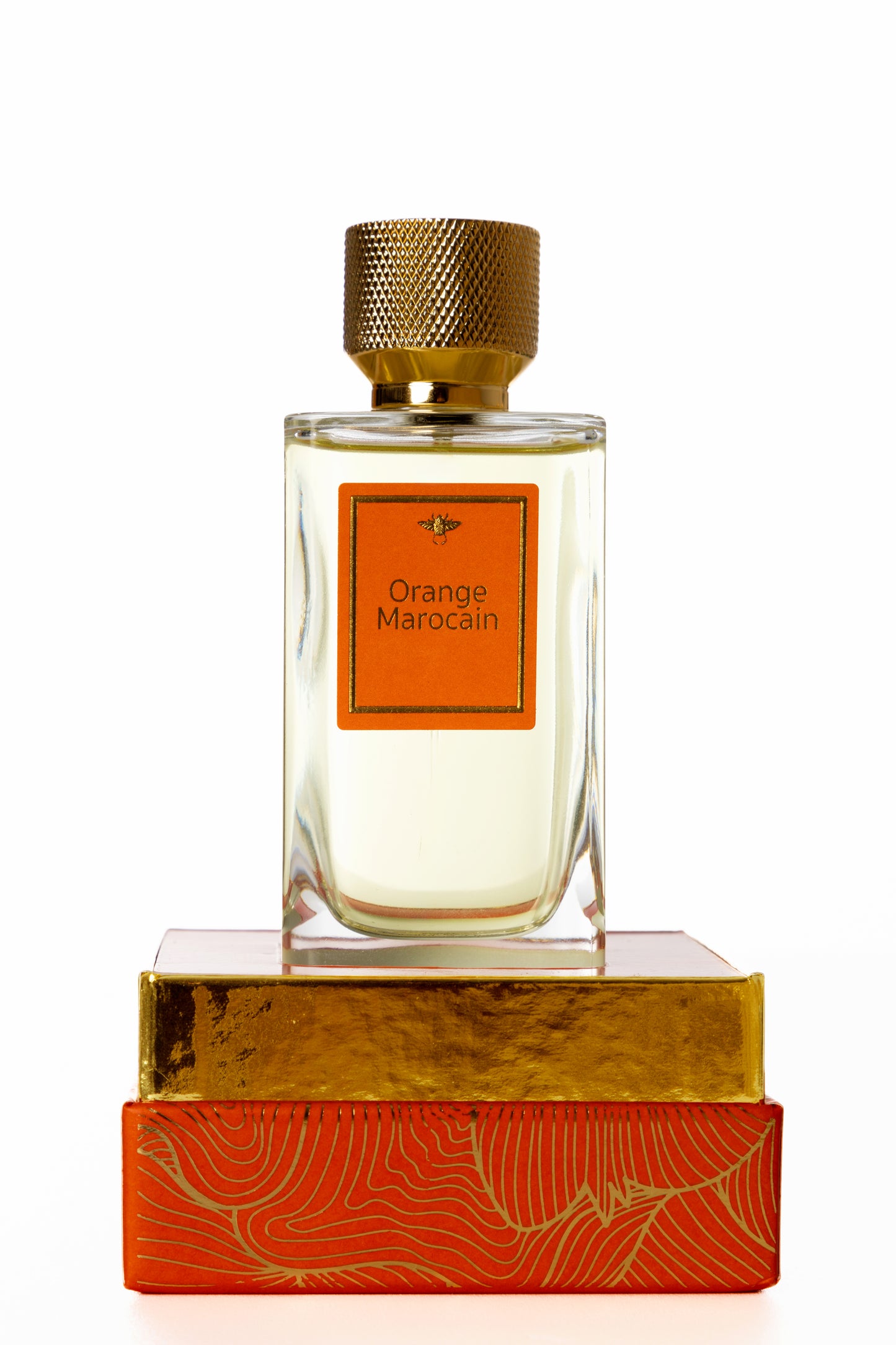 
                  
                    Orange Marocain
                  
                