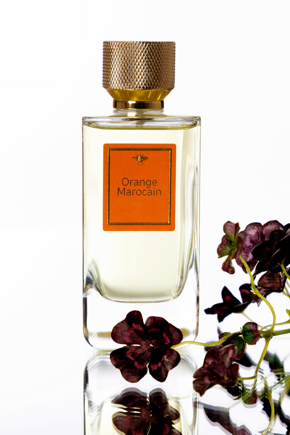 Orange Marocain